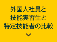 外国人社員と技能実習生と特定技能者の比較